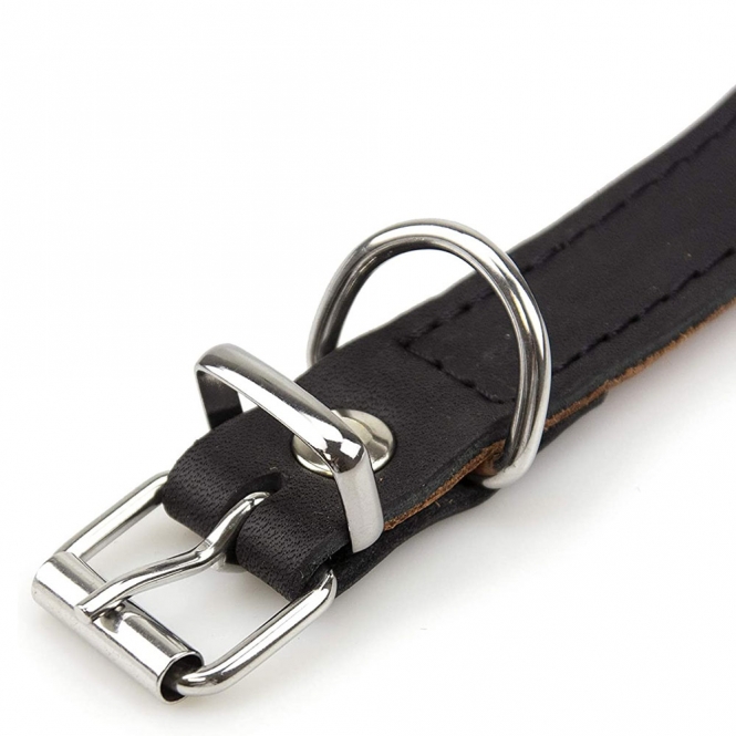 Karlie Rondo Windhund-Halsband - Schwarz - 50cm/60mm – Bild 3