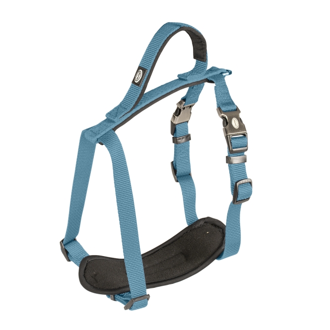 Duvoplus EXPLOR North Geschirr - Petrolblau - 40-50cm/15mm – Bild 3