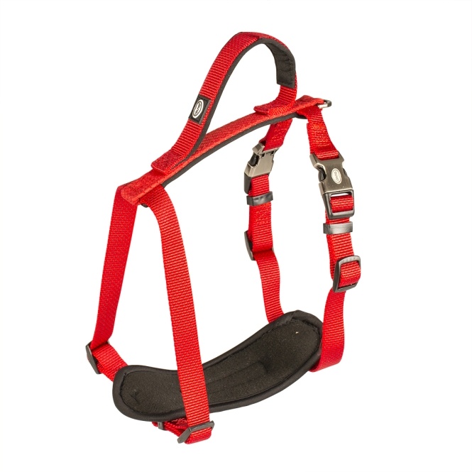 Duvoplus EXPLOR North Geschirr - Rot - 30-40cm/15mm