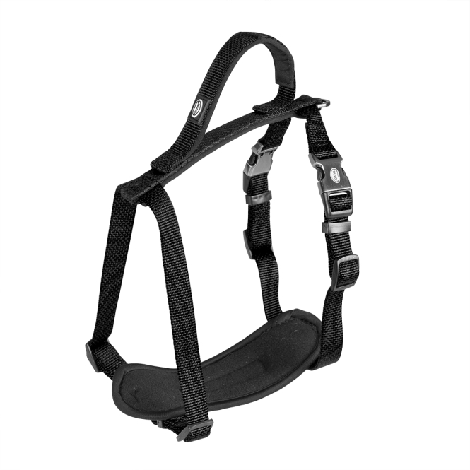 Duvoplus EXPLOR North Geschirr - Schwarz - 65-80cm/25mm – Bild 3