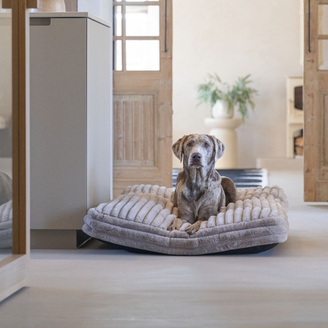 Designed by Lotte Hundekissen Reza - Beige - 120 x 80 cm – Bild 5