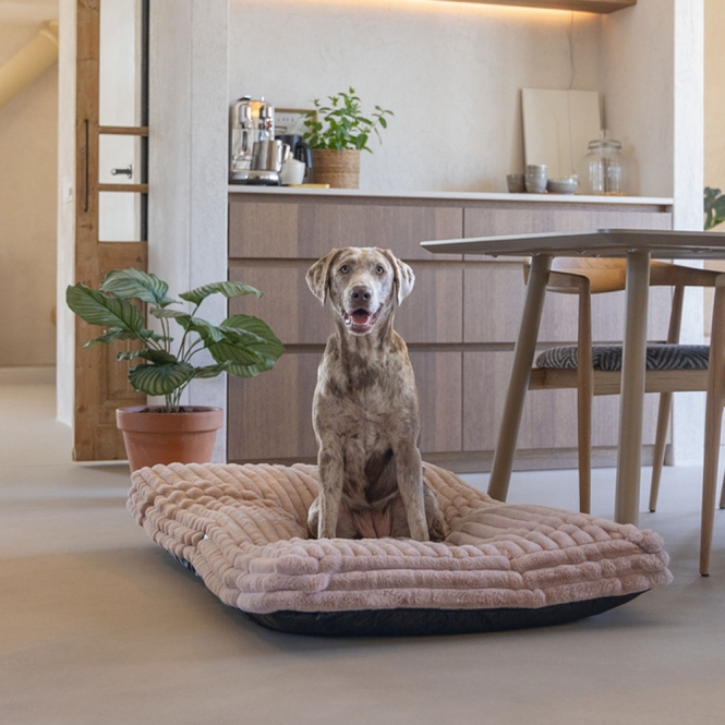 Designed by Lotte Hundekissen Reza - Rosa - 120 x 80 cm – Bild 3