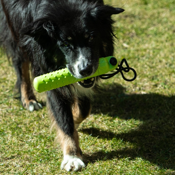 PROCYON Magic Treat Dummy – Bild 6